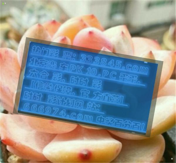 管家婆一码一肖100中奖青岛,定量解析解释法_变革版84.170