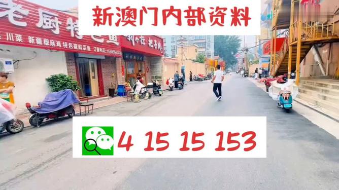 2024澳门天天开好彩大全53期,高度协调实施_生态版54.916
