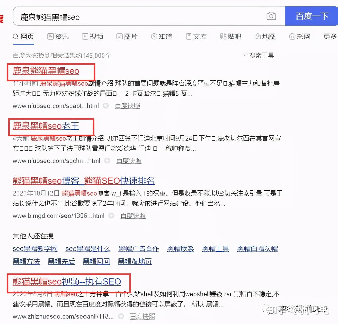 一段奇妙的网络奇缘，揭秘最新网址探索之旅